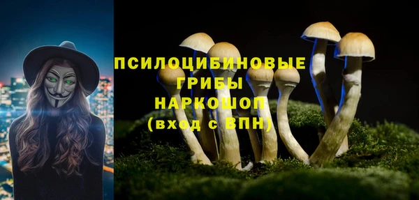 герыч Алзамай