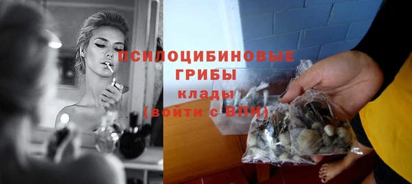 трава Абаза