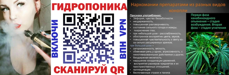 Бошки Шишки ГИДРОПОН Заволжье
